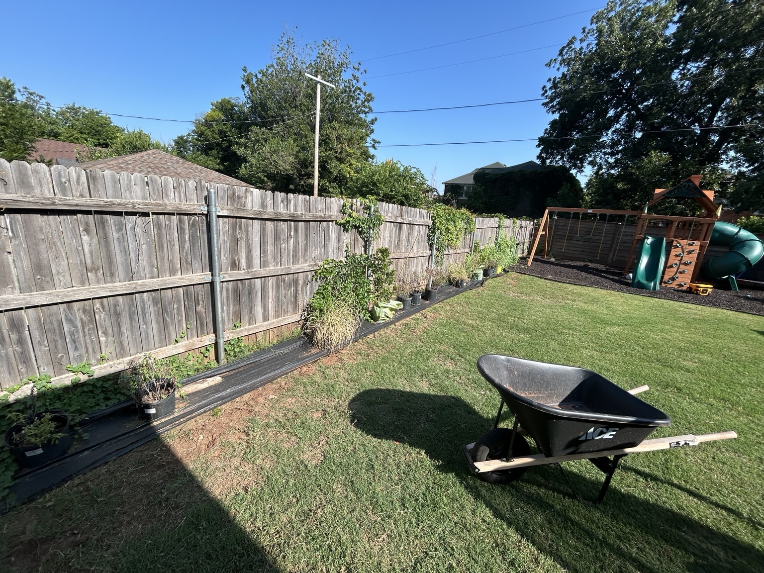 Residential backyard after cleanup and maintenance